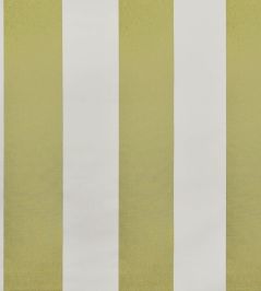 Punch Fabric by Casal Pomme Punch Fabric by Casal Pomme