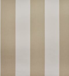 Punch Fabric by Casal Sable Punch Fabric by Casal Sable