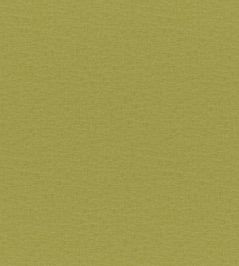 Quentin Fabric by Wemyss Lime Quentin Fabric by Wemyss Lime