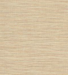 Rafferty Wallpaper by Jane Churchill Terracotta Rafferty Wallpaper by Jane Churchill Terracotta