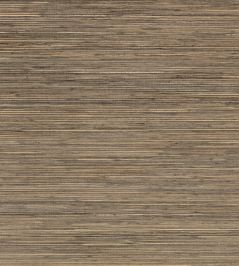 Reed Wallpaper by Mark Alexander Heath Reed Wallpaper by Mark Alexander Heath
