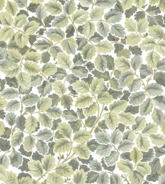 Regents Park Wallpaper by Casadeco Amande Regents Park Wallpaper by Casadeco Amande