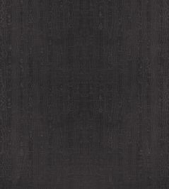 Regia Fabric by Anna French Ebony Regia Fabric by Anna French Ebony