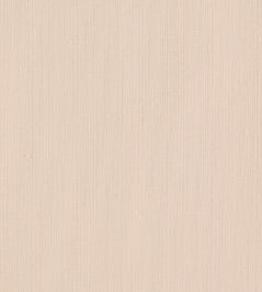 Remo Fabric by Clarke & Clarke Blush Remo Fabric by Clarke & Clarke Blush