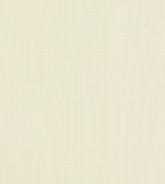 Remo Fabric by Clarke & Clarke Ivory Remo Fabric by Clarke & Clarke Ivory