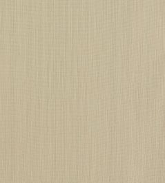 Remo Fabric by Clarke & Clarke Linen Remo Fabric by Clarke & Clarke Linen