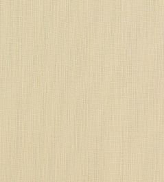 Remo Fabric by Clarke & Clarke Raffia Remo Fabric by Clarke & Clarke Raffia
