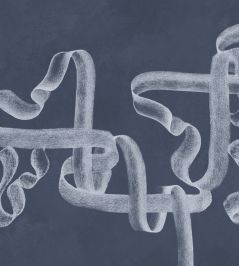 Ribbon Mural by Coordonne Lapislazuli Ribbon Mural by Coordonne Lapislazuli