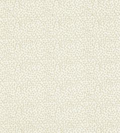 Ricamo Fabric by Clarke & Clarke Ivory Ricamo Fabric by Clarke & Clarke Ivory