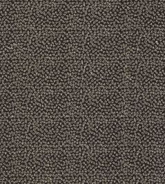 Ricamo Fabric by Clarke & Clarke Nero Ricamo Fabric by Clarke & Clarke Nero