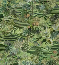 Rice Terrace Wallpaper by Brand McKenzie Grass Green Rice Terrace Wallpaper by Brand McKenzie Grass Green