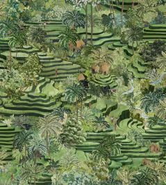 Rice Terrace Max Wallpaper by Brand McKenzie Grass Green Rice Terrace Max Wallpaper by Brand McKenzie Grass Green