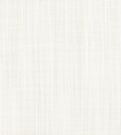 Rimini Fabric by Thibaut Parchment Rimini Fabric by Thibaut Parchment