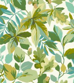 Robin's Wood Wallpaper by Sanderson Botanical Green Robin's Wood Wallpaper by Sanderson Botanical Green
