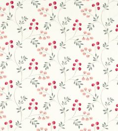 Rochelle Fabric by Clarke & Clarke Blush/Raspberry Rochelle Fabric by Clarke & Clarke Blush/Raspberry