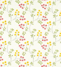 Rochelle Fabric by Clarke & Clarke Summer Rochelle Fabric by Clarke & Clarke Summer