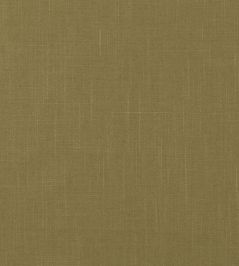Asuri Fabric by Romo Endive Asuri Fabric by Romo Endive
