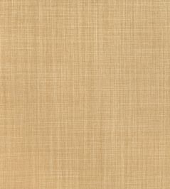 Dune Fabric by Romo Toffee Dune Fabric by Romo Toffee