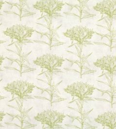 Oriana Fabric by Romo Cypress Oriana Fabric by Romo Cypress