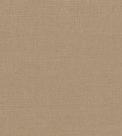 Linara Fabric by Romo Porcini Linara Fabric by Romo Porcini