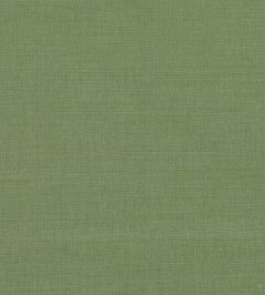 Linara Fabric by Romo Tendril Linara Fabric by Romo Tendril