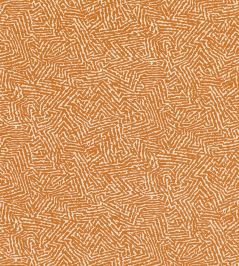 Kaiko Fabric by Romo Pumpkin Kaiko Fabric by Romo Pumpkin