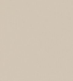 Miro Fabric by Romo Shell Miro Fabric by Romo Shell