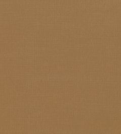 Miro Fabric by Romo Spice Miro Fabric by Romo Spice