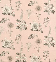 Roseraie Fabric by Clarke & Clarke Blush Roseraie Fabric by Clarke & Clarke Blush