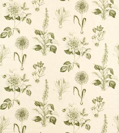 Roseraie Fabric by Clarke & Clarke Sage Roseraie Fabric by Clarke & Clarke Sage