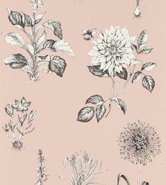 Roseraie Wallpaper by Clarke & Clarke Blush Roseraie Wallpaper by Clarke & Clarke Blush