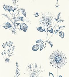 Roseraie Wallpaper by Clarke & Clarke Midnight Roseraie Wallpaper by Clarke & Clarke Midnight