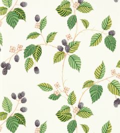 Rubus Wallpaper by Sanderson Blackberry Rubus Wallpaper by Sanderson Blackberry