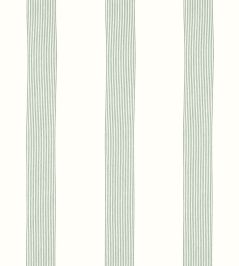 Sabine Stripe Fabric by Thibaut Aloe Sabine Stripe Fabric by Thibaut Aloe