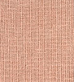 Sacchi Fabric by Thibaut Terracotta Sacchi Fabric by Thibaut Terracotta