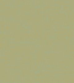 Sahel Wallpaper by Jannelli&Volpi Green Sahel Wallpaper by Jannelli&Volpi Green