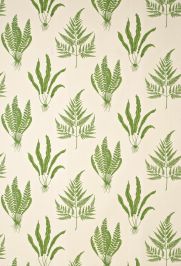 Woodland Ferns Fabric by Sanderson Green Woodland Ferns Fabric by Sanderson Green
