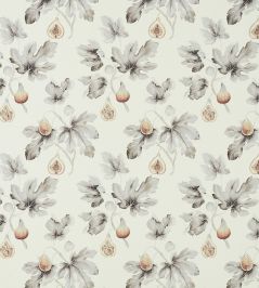 Fig Harvest Fabric by Sanderson Sepia / Grey Fig Harvest Fabric by Sanderson Sepia / Grey