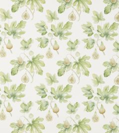 Fig Harvest Fabric by Sanderson Garden Green Fig Harvest Fabric by Sanderson Garden Green