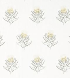 Protea Flower Fabric by Sanderson Daffodil / Natural Protea Flower Fabric by Sanderson Daffodil / Natural