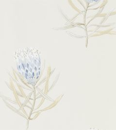 Protea Flower Wallpaper by Sanderson China Blue / Canvas Protea Flower Wallpaper by Sanderson China Blue / Canvas