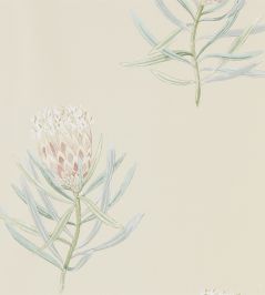 Protea Flower Wallpaper by Sanderson Russet / Green Protea Flower Wallpaper by Sanderson Russet / Green