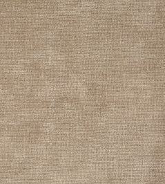 Boho Velvets Fabric by Sanderson Oyster Boho Velvets Fabric by Sanderson Oyster