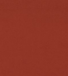 Dorton Fabric by Sanderson Chilli Dorton Fabric by Sanderson Chilli