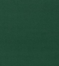 Dorton Fabric by Sanderson Cactus Dorton Fabric by Sanderson Cactus