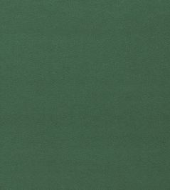 Dorton Fabric by Sanderson Sage Dorton Fabric by Sanderson Sage