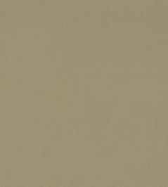 Dorton Fabric by Sanderson Oatmeal Dorton Fabric by Sanderson Oatmeal