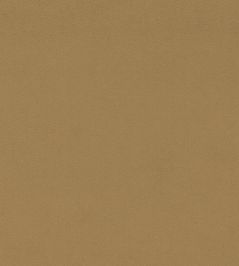 Dorton Fabric by Sanderson Hay Dorton Fabric by Sanderson Hay