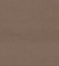 Dorton Fabric by Sanderson Truffle Dorton Fabric by Sanderson Truffle