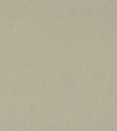 Dorton Fabric by Sanderson Marzipan Dorton Fabric by Sanderson Marzipan